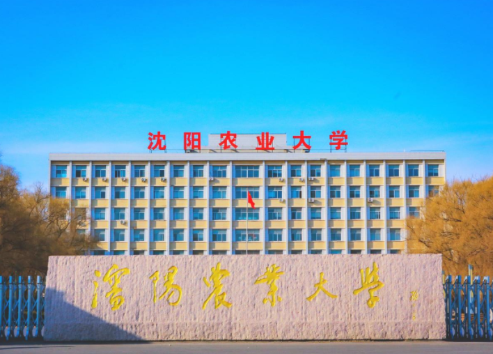 2021辽宁省高校排名出炉，榜首令人感叹，中国医大值得期待