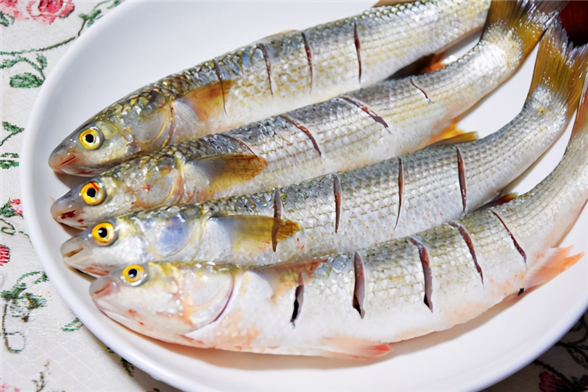 吃梭鱼的禁忌被称为开春第一鲜的海鱼年夜饭来一条美味便宜寓意好