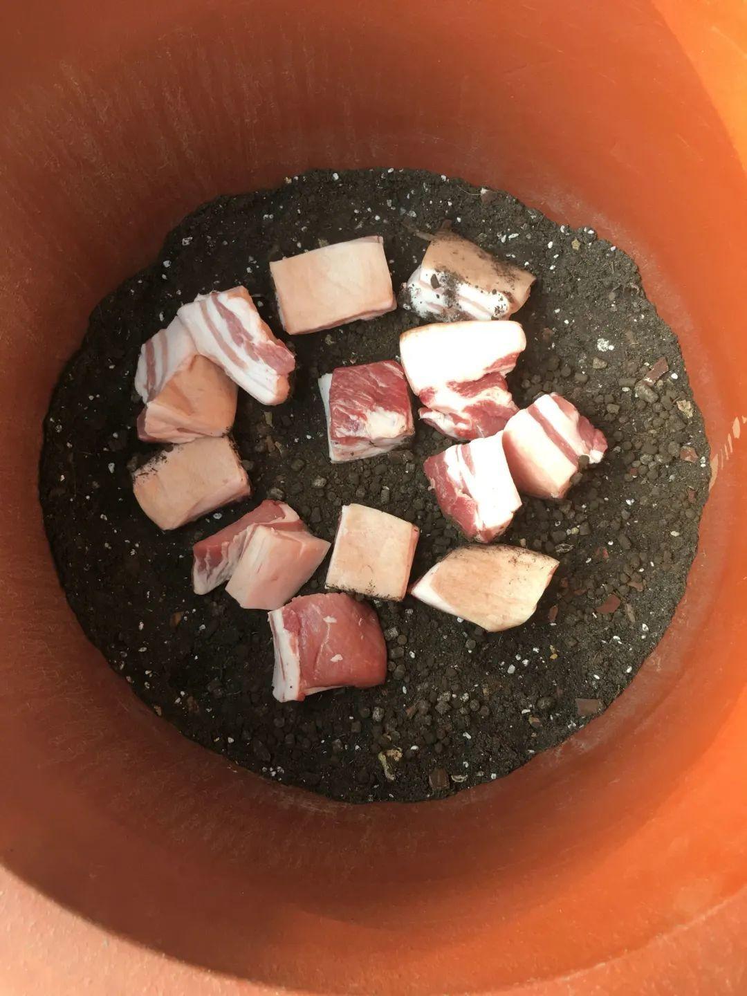 春天正施肥，氮磷钾肥别买了，自己在家就能做