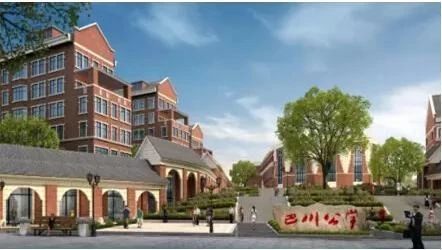 一年学费20万，在重庆上个小学也太贵了吧！看完数据你就知道了