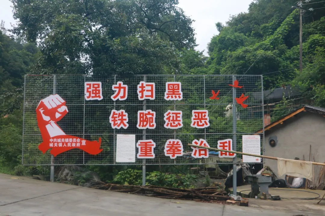 举报污染被指控“寻衅滋事”，这个女人抗争了两年