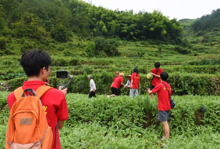阿里1688联合高职院校，批量孵化“带货王”，单场销量30万元