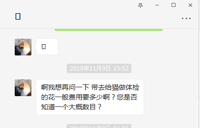 DR和B超影像有啥区别？全项生化查了个啥？收下这份猫咪体检手册