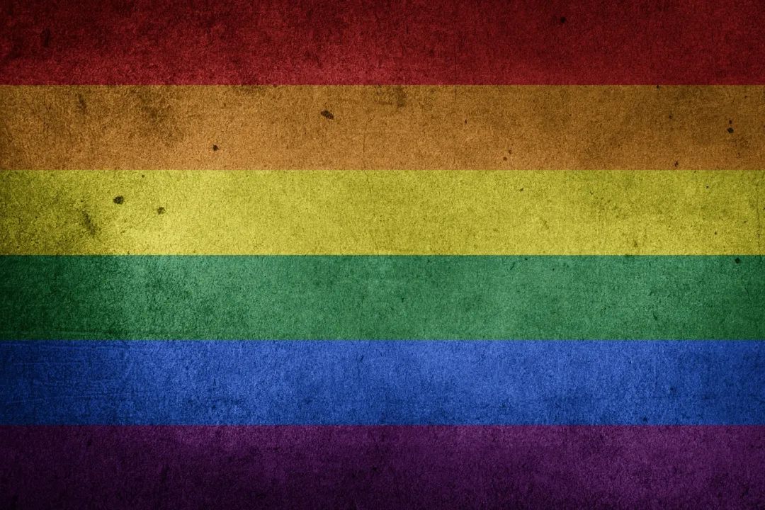 同性伴侣的亲密关系与性行为方式探讨