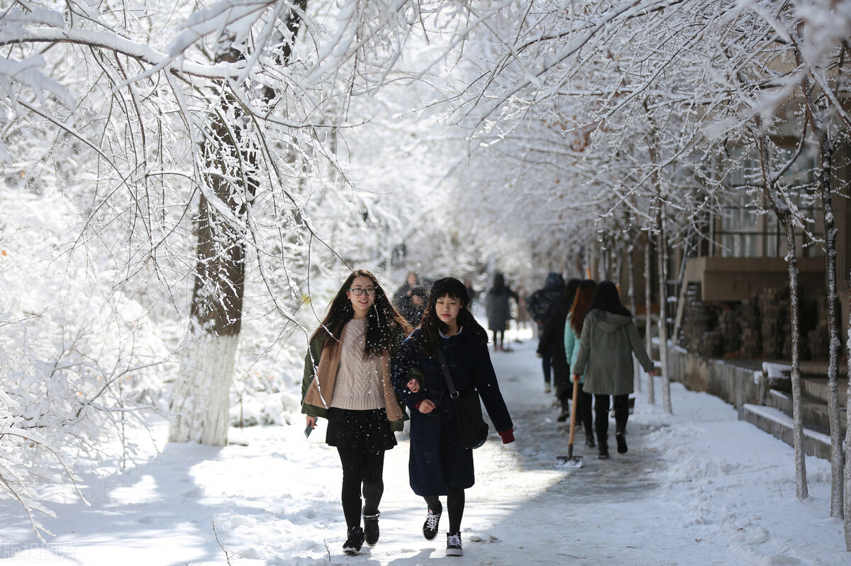 鲁迅美术学院2021年设计类专业合格，文化成绩420分能被录取吗？