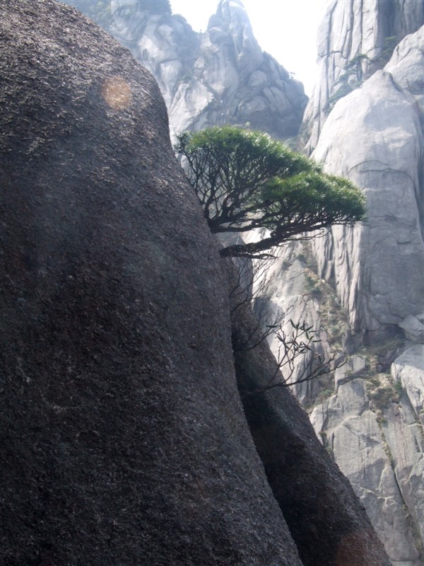 中国十大名山，每个都有最，爬过五座就是英雄