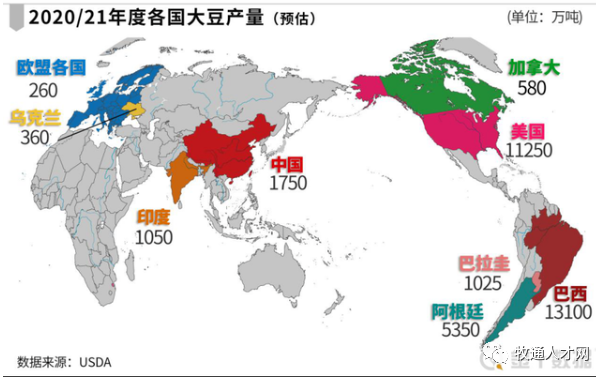 大豆的原產地在中國，為何從美國大量進口？