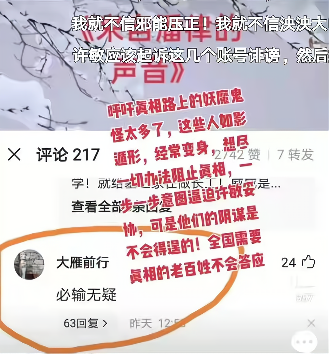 从潘克律师的动态到杜新枝的病历，迹象显示许敏的维权路很艰难