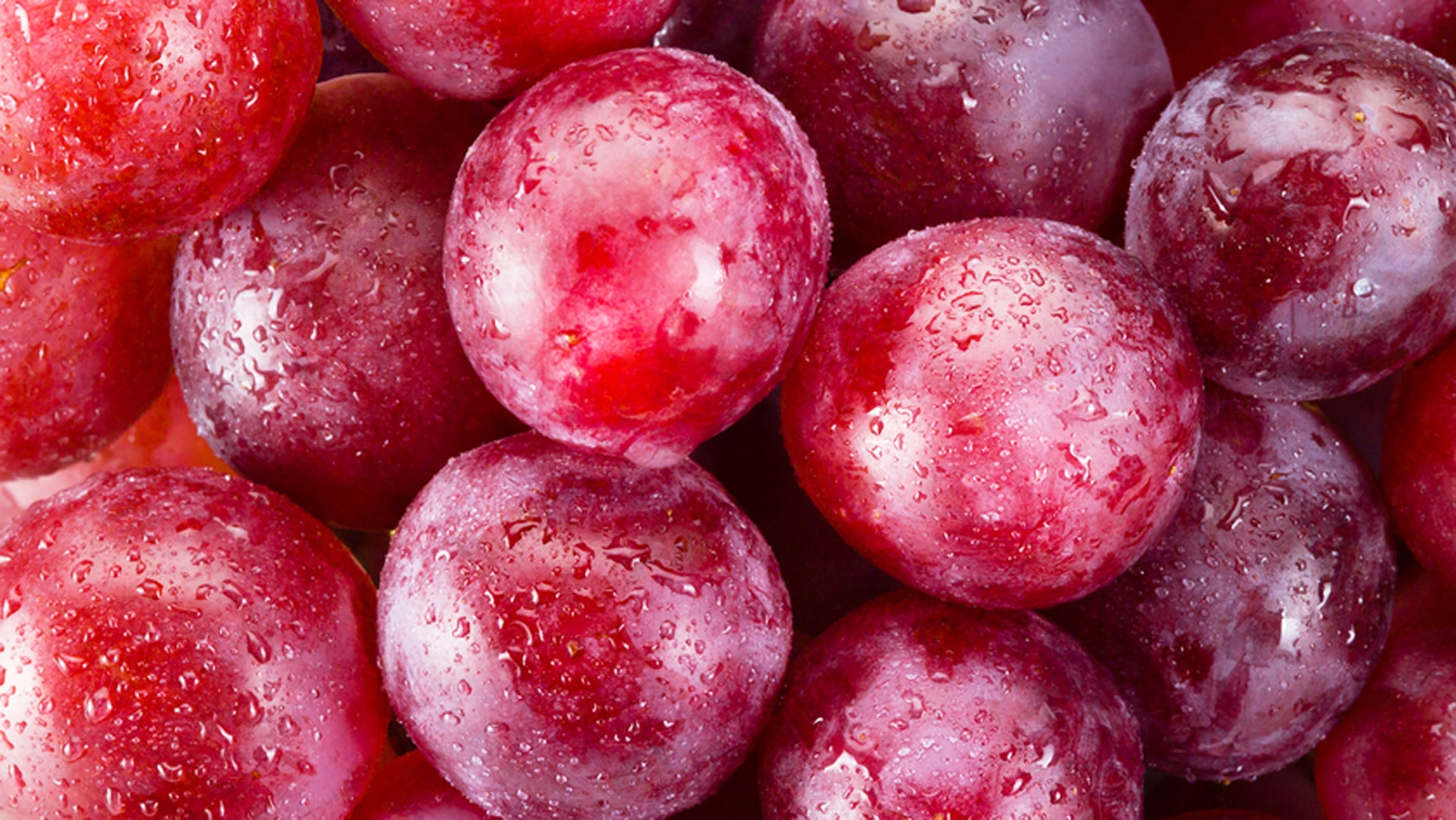 罗马红宝石葡萄(每串4000美元)