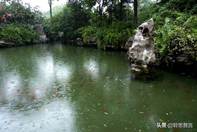 观鱼诗词精选二十四首 我嗟不及群鱼乐，虚作人间半世人