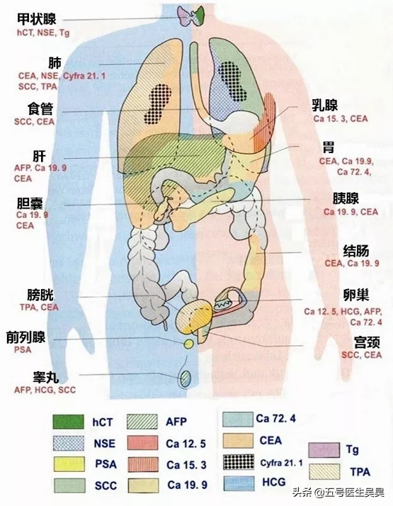 消化系统出了问题，我们都可能会做哪些检查？因病制宜才能诊断好