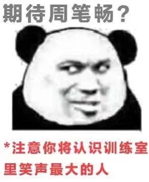 41岁张柏芝《浪姐2》神颜照出圈！鼻型优越，隆鼻都长不成这样