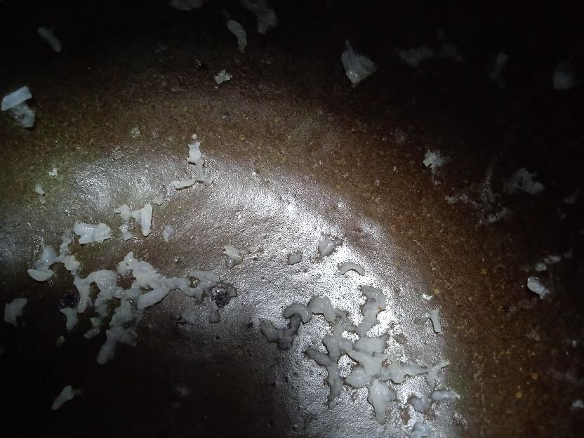 老式沙锅 美味 开裂了怎么办好？