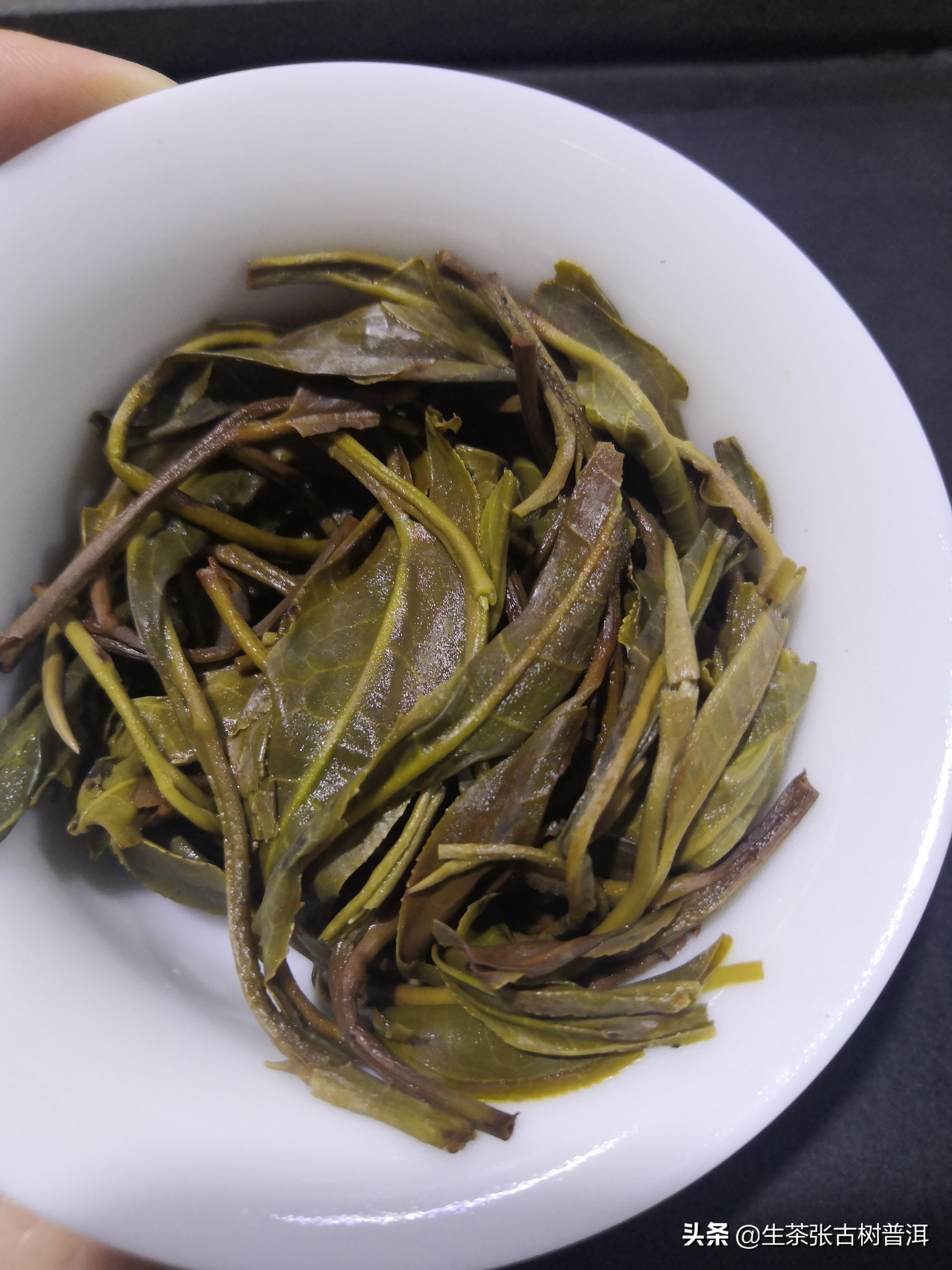 大雪山普洱茶特点(临沧茶山分布普洱茶收藏备用)