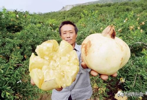 安徽省十大特产 安徽有哪些特产 安徽著名特产排行榜