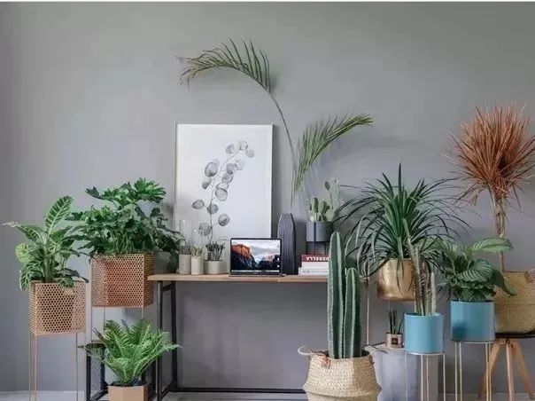 给你一份精致女孩的出租房改造指南