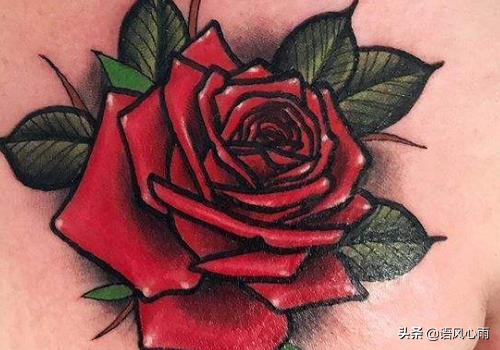十个纹身九个后悔 为什么女生不能纹玫瑰