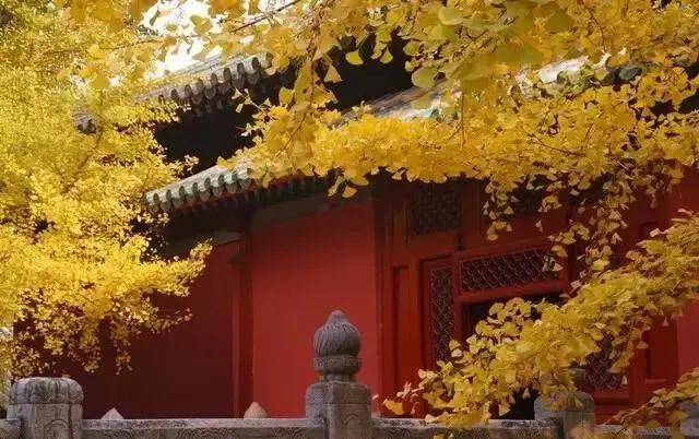 赏秋时节 </p><p>　　 打卡京郊这10条乡村公路，藏着北京最美的秋天