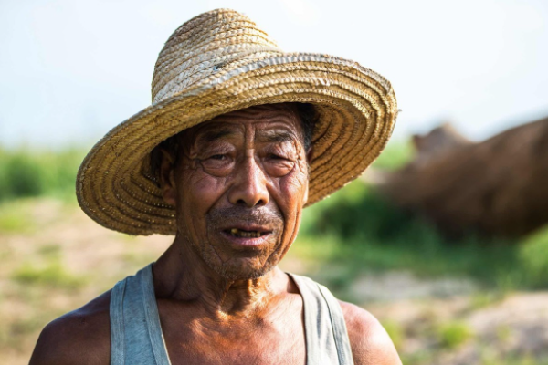 江西官宣！农民可免费上大学，只需满足4个条件，已经开始报名啦