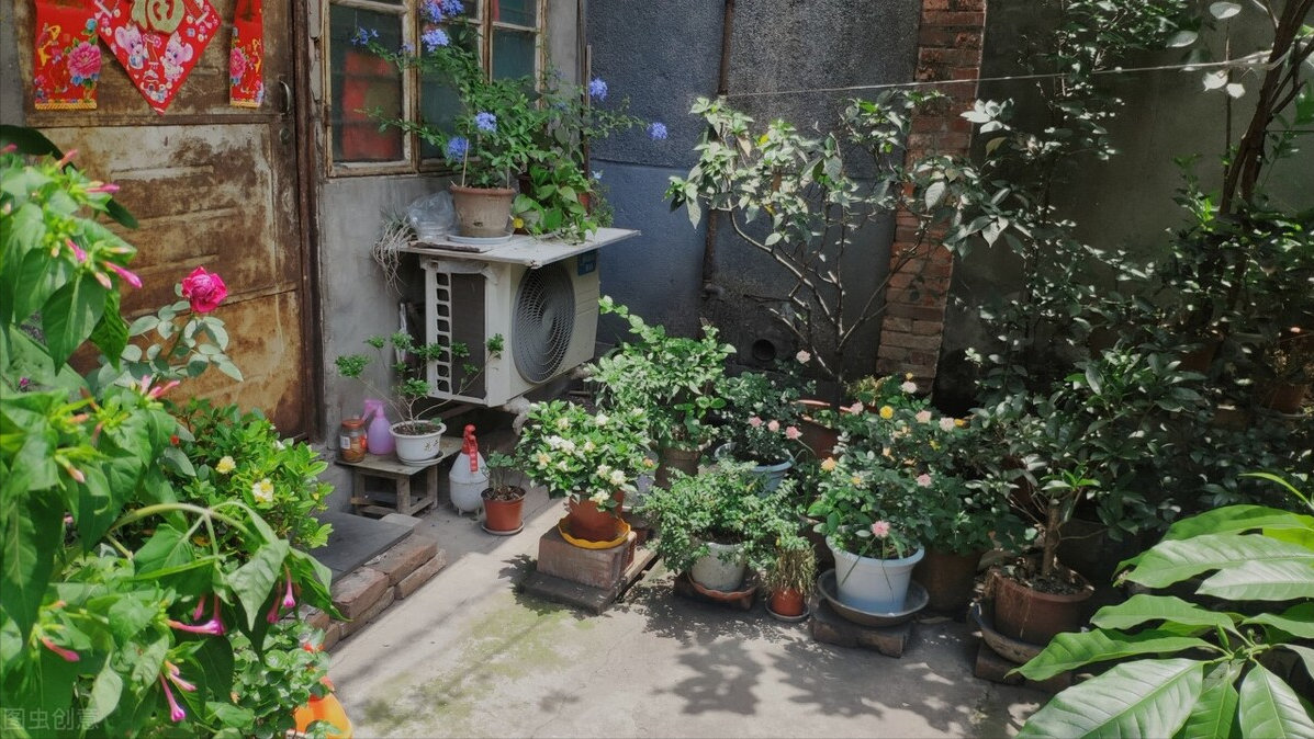 “小资”90后：为梦想去小县城创业，赚的一点不多，赔的一点不少