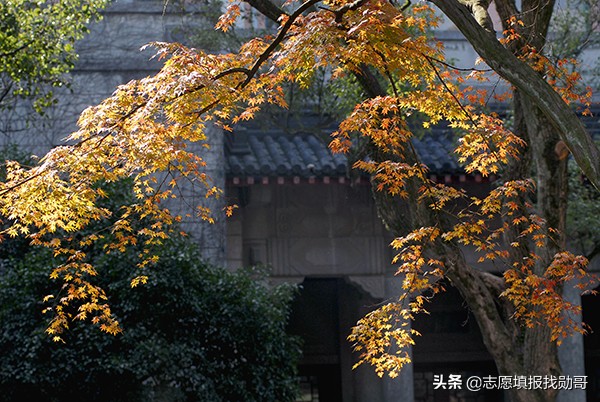 大学新校区“东南飞”成趋势，泄露了哪些秘密？