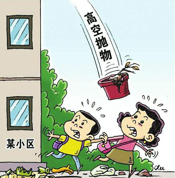 高空飘落的蛋炒饭事件
