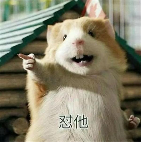 全国大学“绰号”汇总，说出本名有被笑到，有些黑话本校生才懂