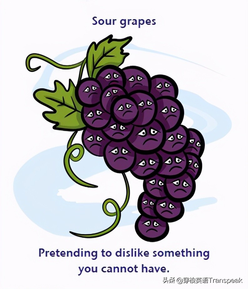 grapes是什么意思(it) - 百百科