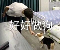 表情包：在吗？借我一个男朋友