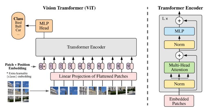 Paper阅读：ViT存在问题与解决方案深度解析