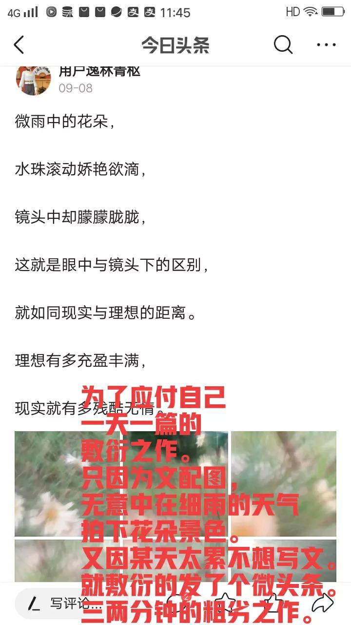 文章佳评如潮，众口称颂方显真章