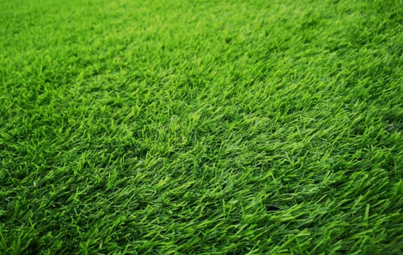 选择沸石，彻底告别毒草坪、臭草坪，提高公共空间生态净化率