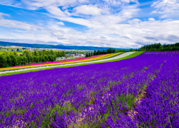 北海道旅游线路(10种在北海道人气观光景点) - 悦闻天下