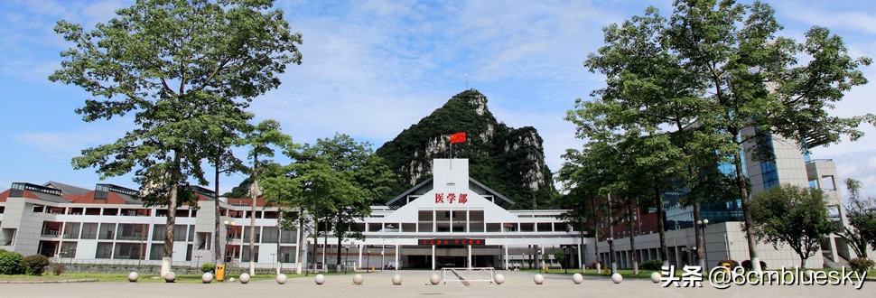 学医不一定非医科大学不可（二）