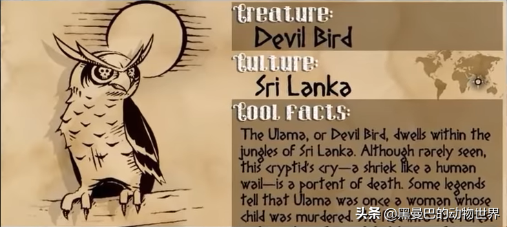 源自斯里兰卡的不祥征兆、叫声最恐怖的猫头鹰——恶魔鸟林雕鸮