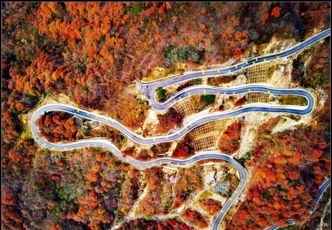 沿途皆如天堂!这10条深秋路线,去过一半就邂逅中国大半的美