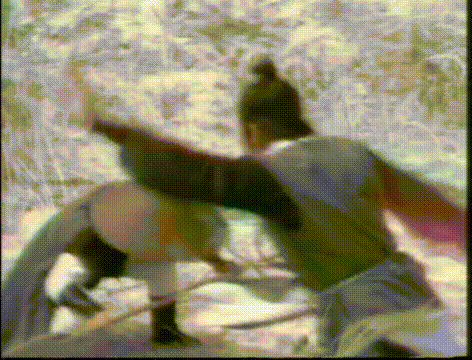 《射雕英雄传》系列专题，十里春风侠客行倾力真诚作品，建议收藏