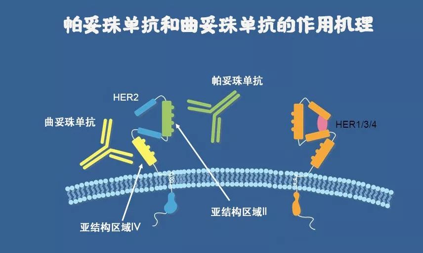 2020新版医保目录开始实行，多款抗癌药灵魂降价