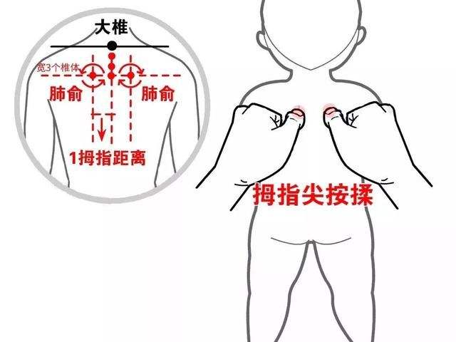 秋季宝宝感冒咳嗽,痰多,按揉肺俞穴有止咳,化痰功效