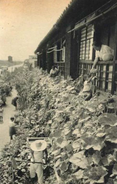 劳动手册,劳动手册在哪里办理