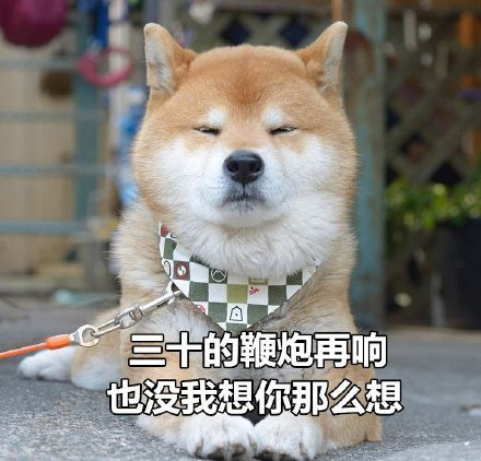 柴犬土味情话表情包合集｜你知道我的缺点是什么吗？