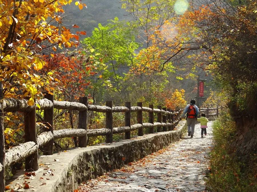 赏秋时节 </p><p>　　 打卡京郊这10条乡村公路，藏着北京最美的秋天