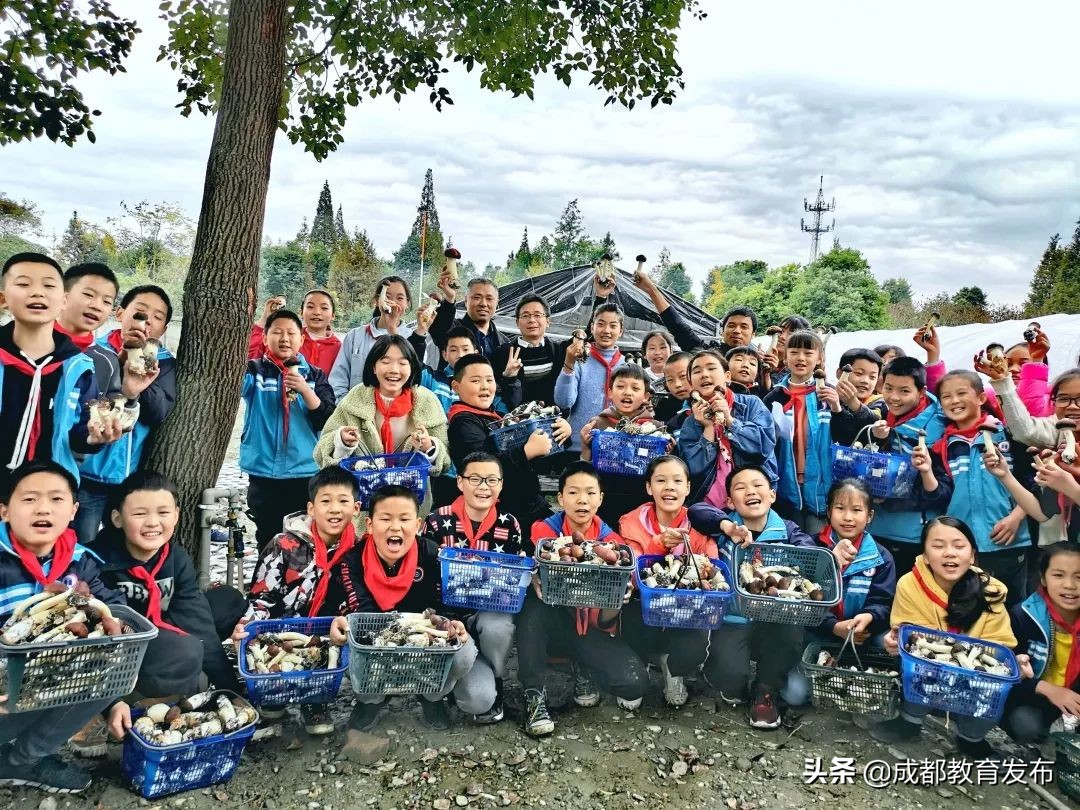 必修！这门课要“泥土”还要“破土”