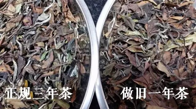 福鼎白茶一斤多少钱正常？做旧白茶，泡着喝不行，能煮着喝吗？