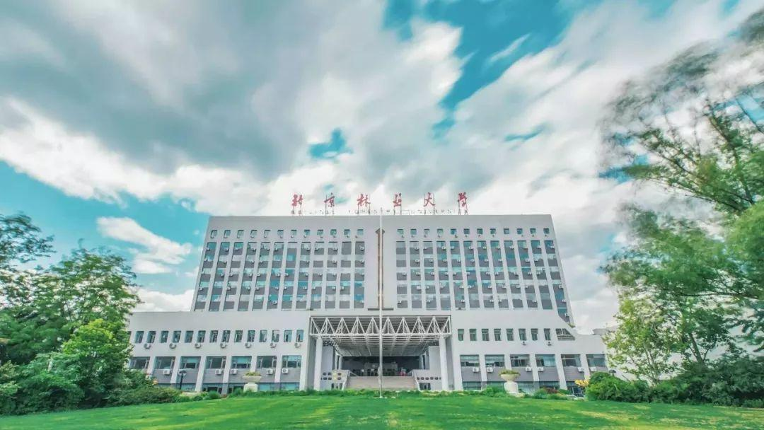 北京林业大学林学院（北京林业大学为林业大学翘楚）