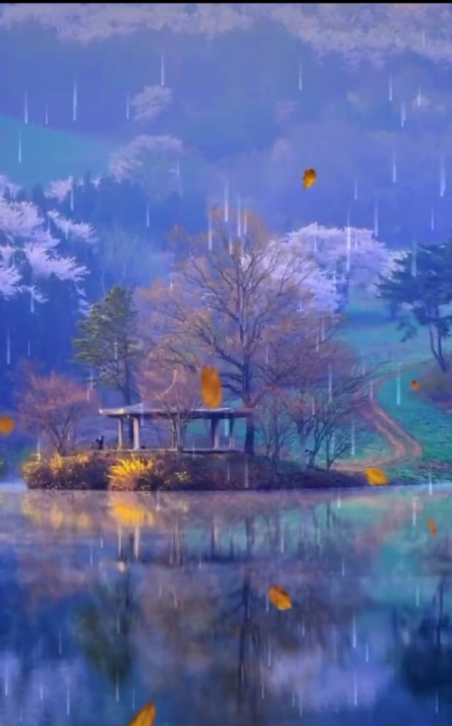 醉月倾城，一池清欢漾秋波