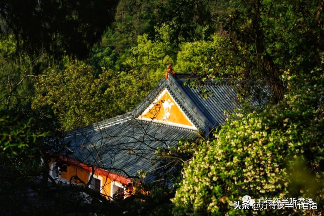 天台国清寺｜一念三千，风约孤萤落砌间