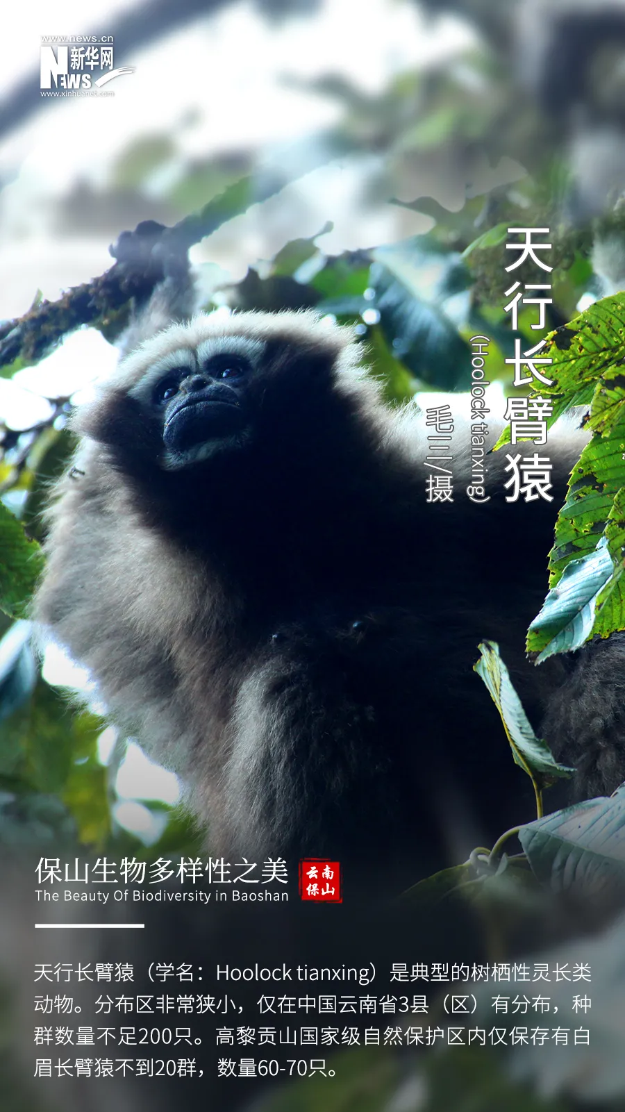 惊艳!生物多样的保山,美到你无法想象