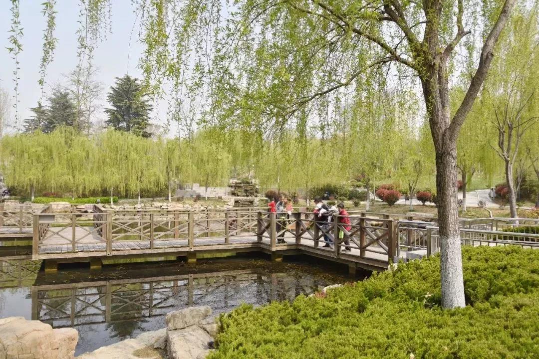 高清曝光！坐拥神仙颜值，山东最美“校花”就在这所大学里！