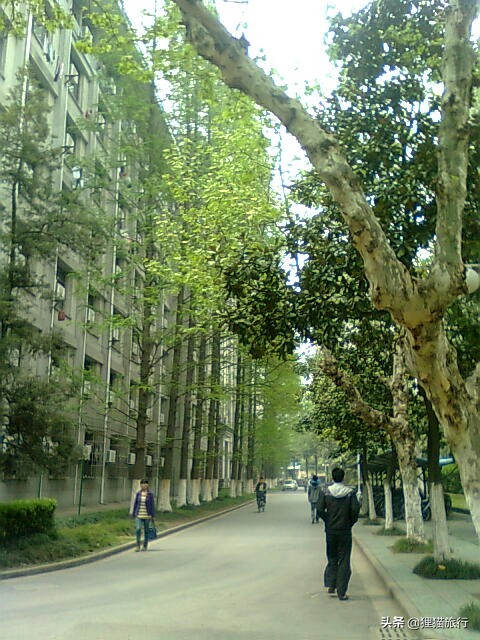 百年名校南京大学一日游,八年前的老照片带你回忆南大 - 114货源网